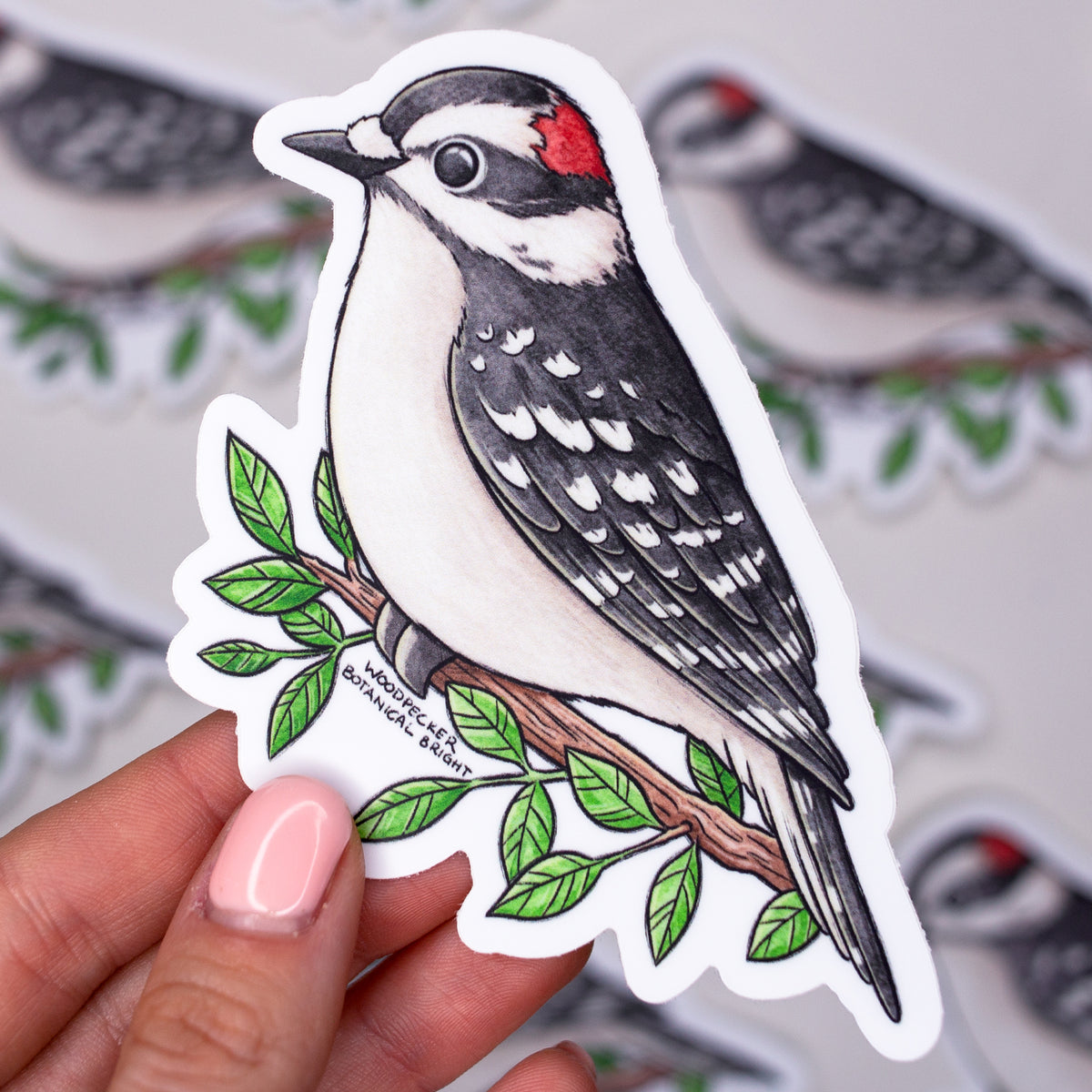 Downy Woodpecker Vinyl Sticker – Botanical Bright - Add a Little Beauty to Your Everyday